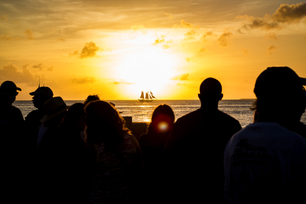 James Renhard freelance writer SEO Editor