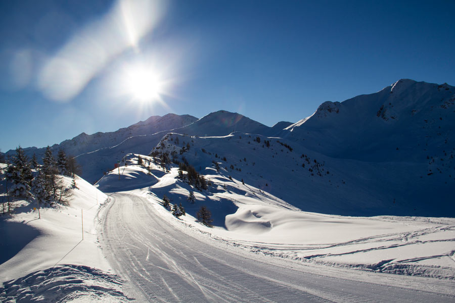 James Renhard freelance writer SEO Editor